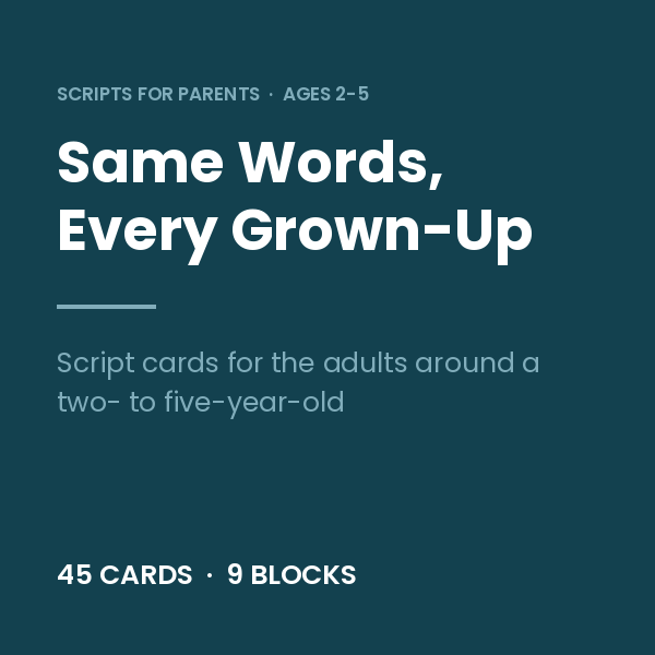 Same Words card deck: Every Grown-Up